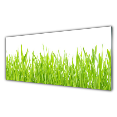 Panneaux de cuisine en verre Herbe nature vert