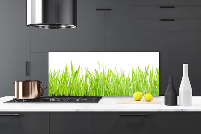 Panneaux de cuisine en verre Herbe nature vert