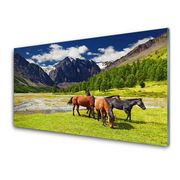 Panneaux de cuisine en verre Montagnes cheval animaux gris vert brun noir