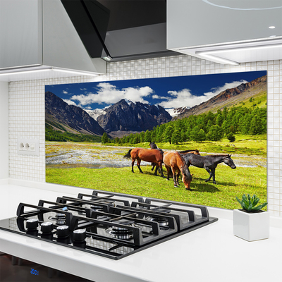Panneaux de cuisine en verre Montagnes cheval animaux gris vert brun noir