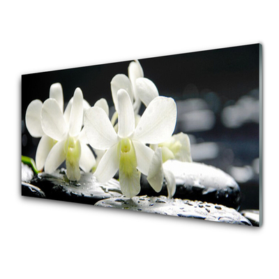 Panneaux de cuisine en verre Pierres fleurs floral blanc noir