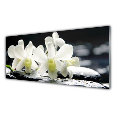 Panneaux de cuisine en verre Pierres fleurs floral blanc noir