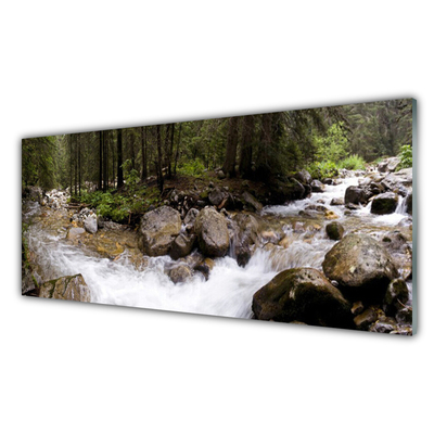 Panneaux de cuisine en verre Forêt ruisseau nature brun vert blanc gris