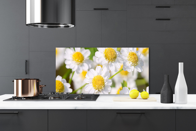 Panneaux de cuisine en verre Marguerite floral jaune blanc