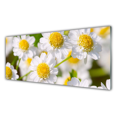 Panneaux de cuisine en verre Marguerite floral jaune blanc