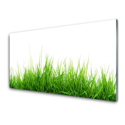 Panneaux de cuisine en verre Herbe nature vert