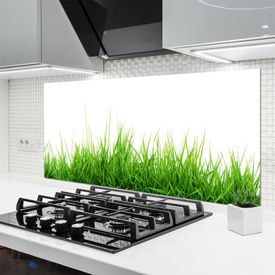 Panneaux de cuisine en verre Herbe nature vert