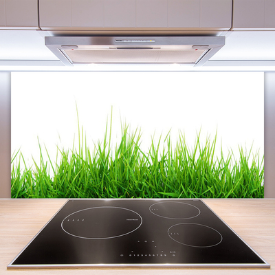 Panneaux de cuisine en verre Herbe nature vert