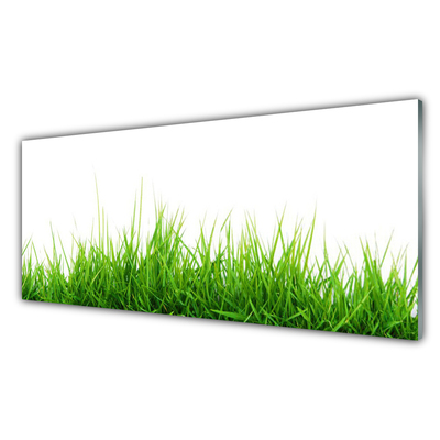 Panneaux de cuisine en verre Herbe nature vert