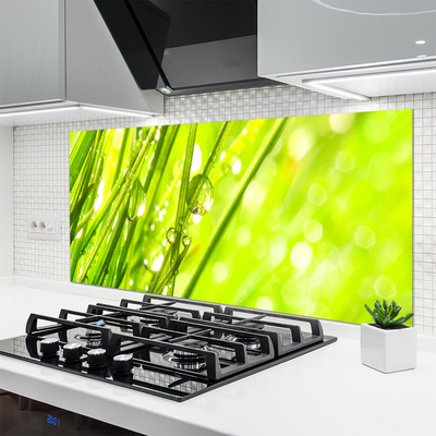 Panneaux de cuisine en verre Herbe nature vert