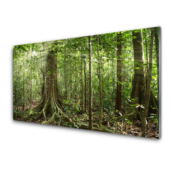 Panneaux de cuisine en verre Forêt nature brun vert