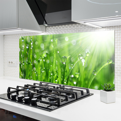 Panneaux de cuisine en verre Herbe nature vert