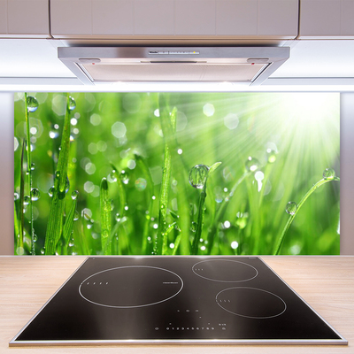 Panneaux de cuisine en verre Herbe nature vert