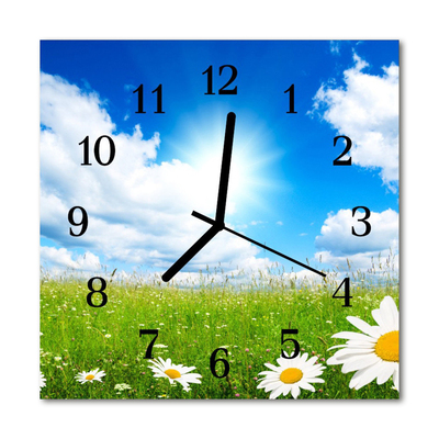 Horloge murale en verre Fleurs de prairie