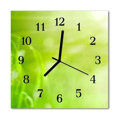 Horloge murale en verre Herbe