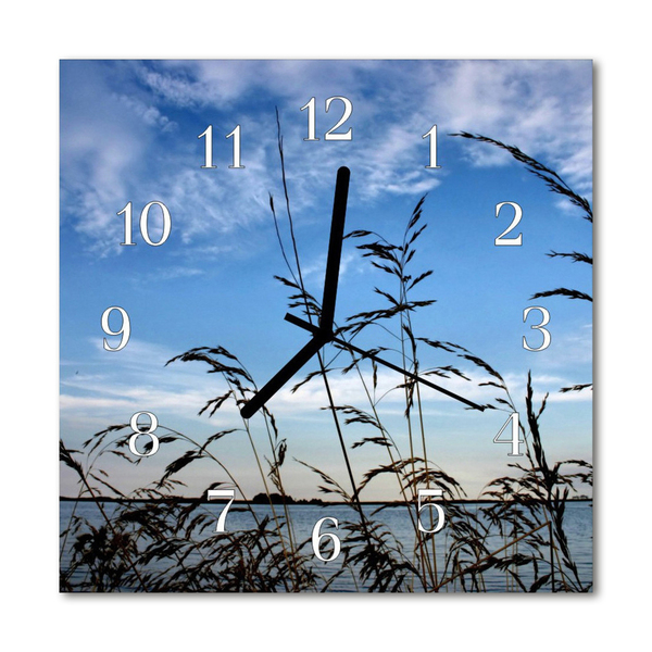 Horloge murale en verre Herbe