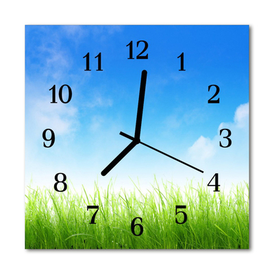 Horloge murale en verre Herbe