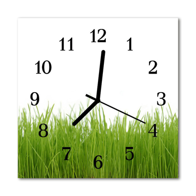 Horloge murale en verre Herbe