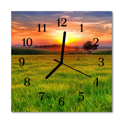 Horloge murale en verre Prairie de paysage