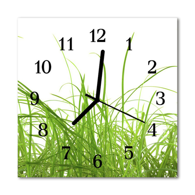 Horloge murale en verre Herbe