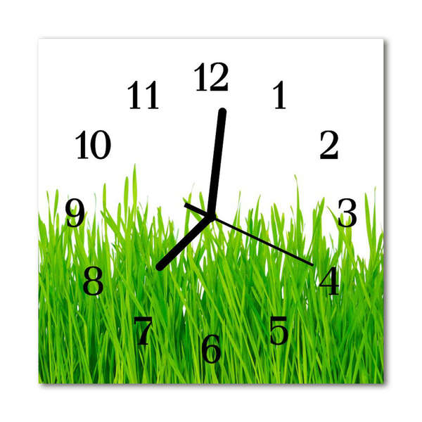 Horloge murale en verre Herbe