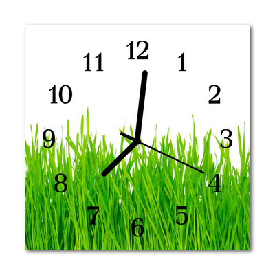Horloge murale en verre Herbe