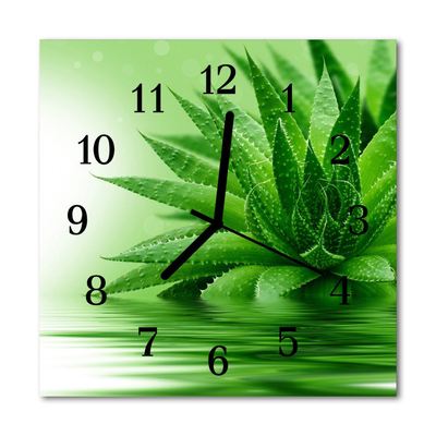 Horloge murale en verre Aloès