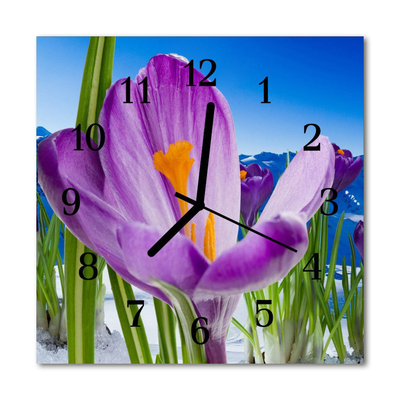 Horloge murale en verre Ressort