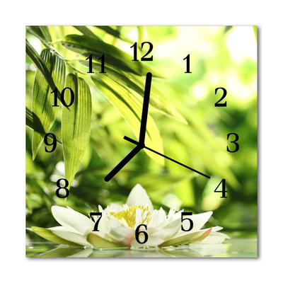 Horloge murale en verre Nature