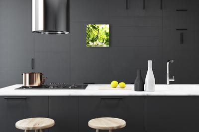 Horloge murale en verre Nature