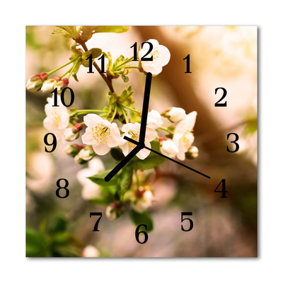 Horloge murale en verre Nature