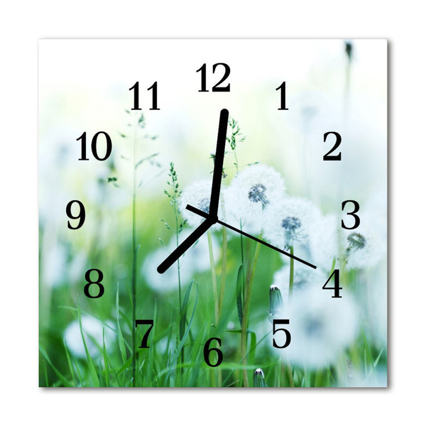Horloge murale en verre Prairie