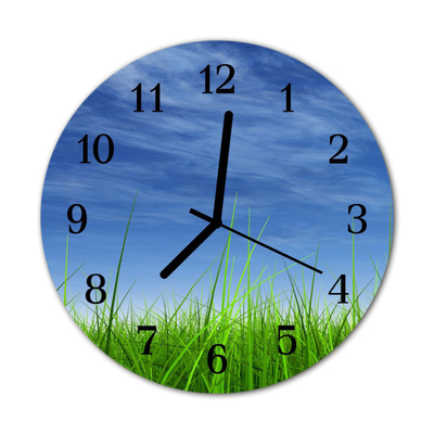 Horloge murale en verre Herbe