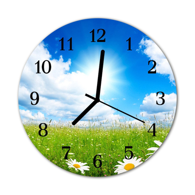 Horloge murale en verre Fleurs de prairie