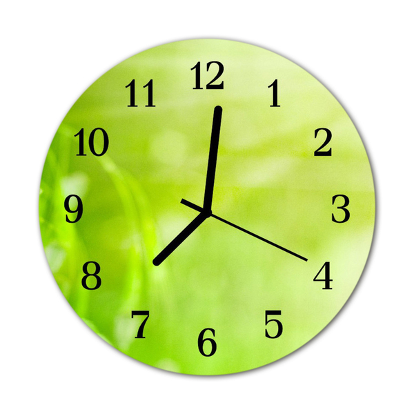 Horloge murale en verre Herbe