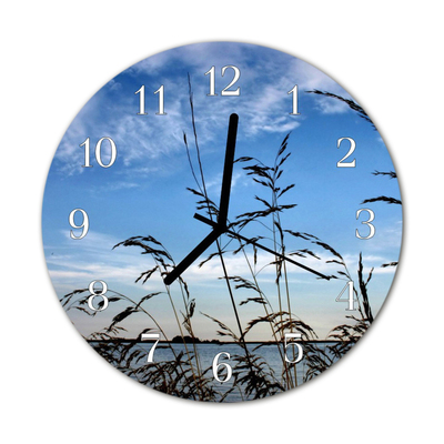 Horloge murale en verre Herbe