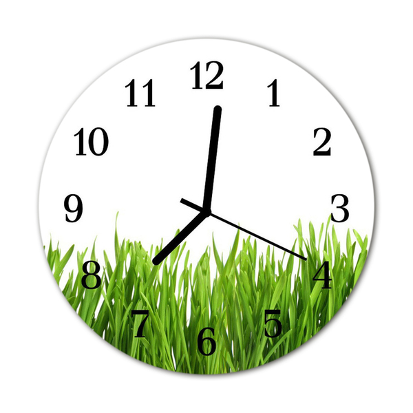 Horloge murale en verre Herbe