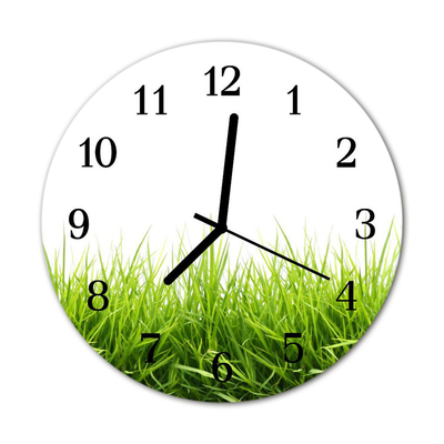 Horloge murale en verre Herbe