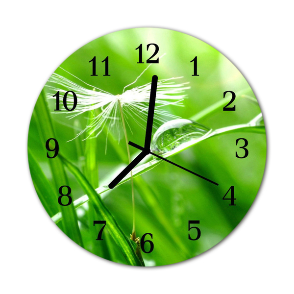 Horloge murale en verre Herbe