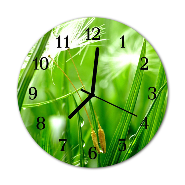 Horloge murale en verre Herbe