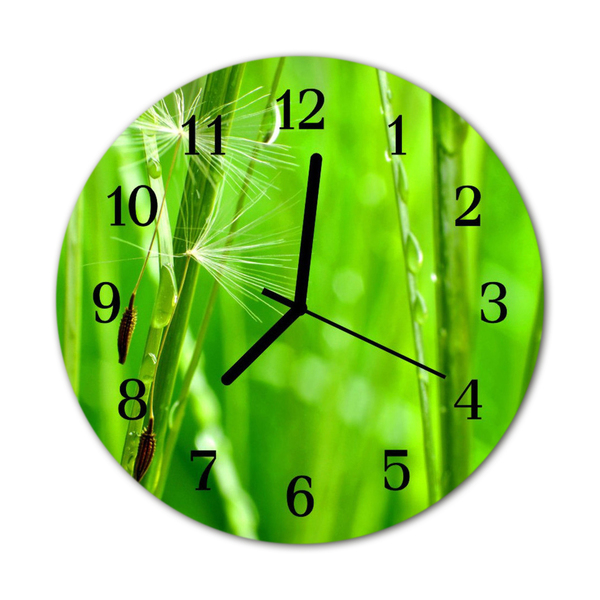 Horloge murale en verre Herbe