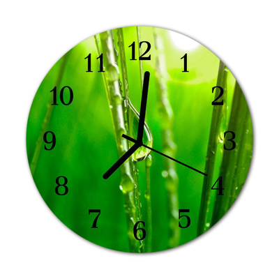 Horloge murale en verre Gouttes d'herbe