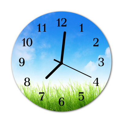 Horloge murale en verre Herbe