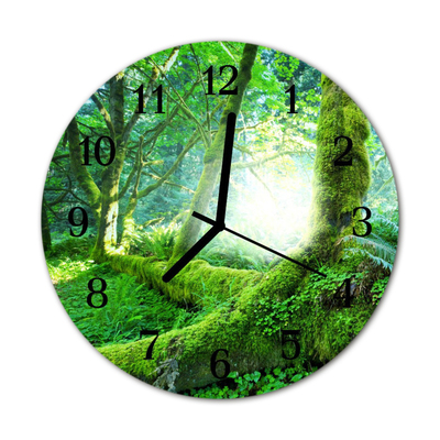Horloge murale en verre Mousse de forêt