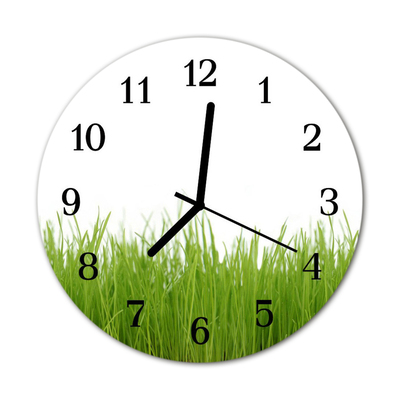 Horloge murale en verre Herbe