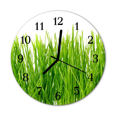 Horloge murale en verre Herbe