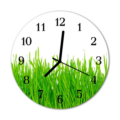 Horloge murale en verre Herbe