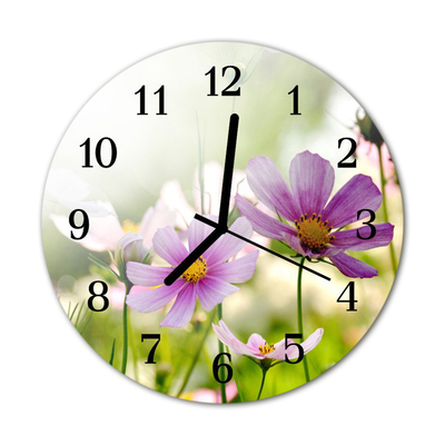 Horloge murale en verre Prairie