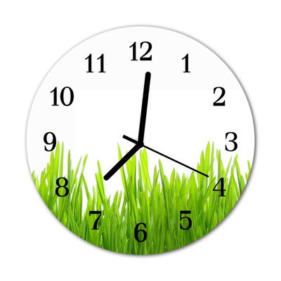 Horloge murale en verre Herbe