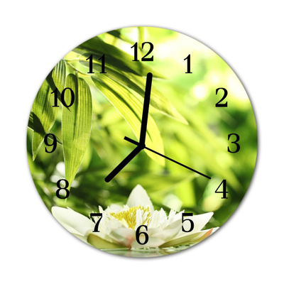 Horloge murale en verre Nature